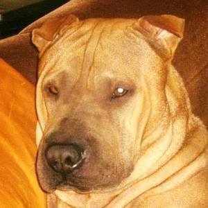 Meet your Posher, Sergio